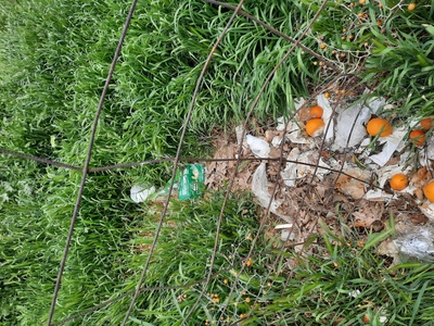Εστία μόλυνση διπλά στο Πάρκο Πασαλιδη 