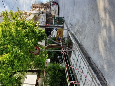 Κλαδεμα Δένδρων