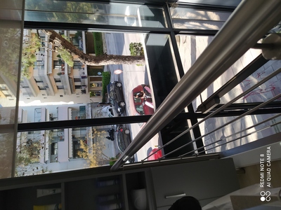 Κοπή κλαδιού