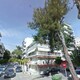 Επείγον επικίνδυνο σάπιο ψηλό πεύκο