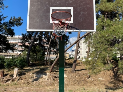 Μπασκέτες Άλσους Νέας Κρήνης