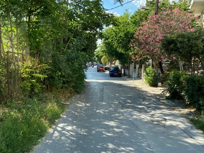 ΚΟΨΙΜΟ ΔΕΤΡΩΝ