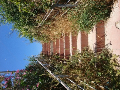 Σκάλες Πλαστήρα 