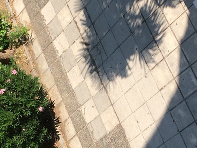 ΑΛΛΑΓΗ ΠΛΑΚΙΔΙΩΝ ΠΕΖΟΔΡΟΜΟΥ ΠΑΠΑΚΥΡΙΤΣΗ ΜΕ ΑΡΙΣΤΟΦΑΝΟΥΣ (ΠΑΙΔΙΚΗ ΧΑΡΑ)