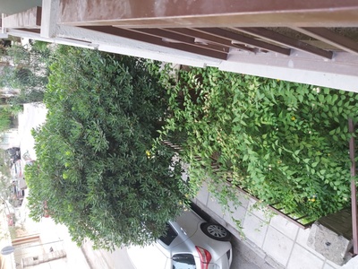 Ψεκασμός για κουνούπια