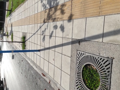 Κενή δενδροδόχος