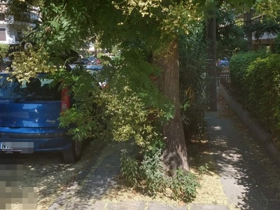 Κλάδεμα δέντρων /Διέλευση πεζών 