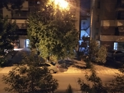 Φως στο δέντρο
