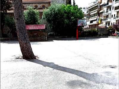 Δέντρο εντός 6ου Δημοτικού Σχολείου Καλαμαριάς