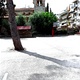 Δέντρο εντός 6ου Δημοτικού Σχολείου Καλαμαριάς
