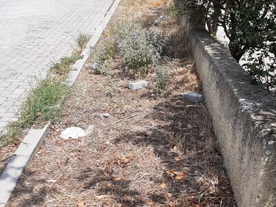 ΑΠΟΥΣΙΑ ΠΛΑΚΩΝ ΠεΖΟΔΡΟΜΙΟΥ