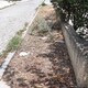 ΑΠΟΥΣΙΑ ΠΛΑΚΩΝ ΠεΖΟΔΡΟΜΙΟΥ