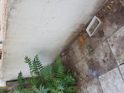 Ανάγκη καθαριότητας στο 10ο νηπιαγωγείο