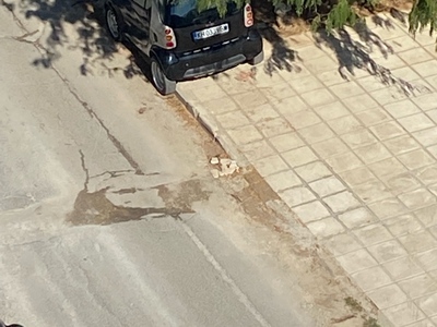 Χαντάκι επικίνδυνο