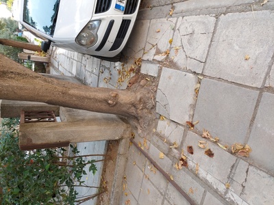 Κατεστραμένες πλάκες πεζοδρομίου