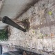 Ακαθαρσίες στο 10ο νηπιαγωγείο #4