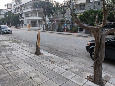 Σπασιμο δεντρου απο συνεργειο