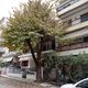 Κλάδεμα μεγάλου δέντρου