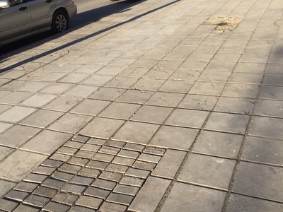 Κενες δενδροδοχοι