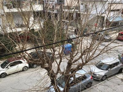 ΚΛΑΔΕΜΑ ΕΠΙΚΙΝΔΥΝΟΥ ΔΕΝΤΡΟΥ ΣΤΟ ΔΡΟΜΟ ΤΗΣ ΛΑΙΚΗΣ