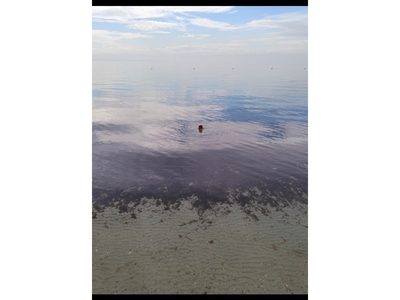 ΑΠΟΚΟΜΙΔΗ ΑΝΤΙΚΕΙΜΕΝΟΥ