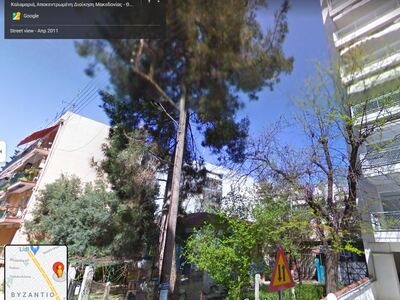 ΚΟΠΗ ΔΕΝΤΡΟΥ 