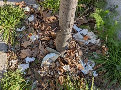 Καθαριότητα επί της οδού Βενιζέλου