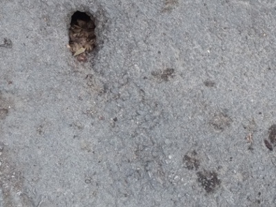 Ζημια σε ασφαλτο 