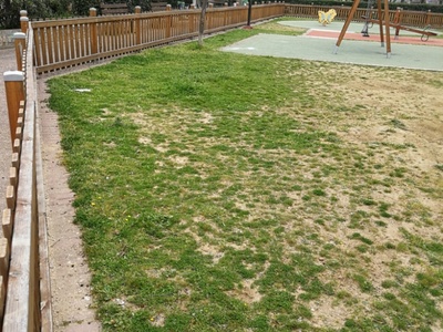 Φύτευση δέντρων σε παιδική χαρά. 