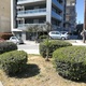 Δέντρο στη θέση του γιουκα.