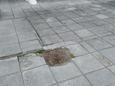 Φύτευση ή κλείσιμο