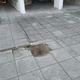 Φύτευση ή κλείσιμο