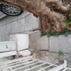 Κίνδυνος από ρίζες δέντρων