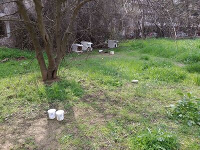 Απομάκρυνση παράνομων γατόσπιτων