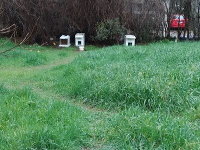 Απομάκρυνση παράνομων γατόσπιτων