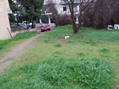 Απομάκρυνση παράνομων γατόσπιτων