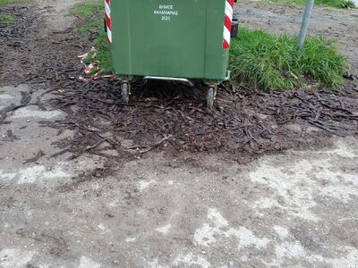 Καθαρισμός χώρου γύρω από κάδο απορριμμάτων