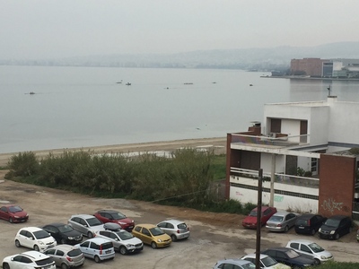 Κλαδεμα καλαμίων