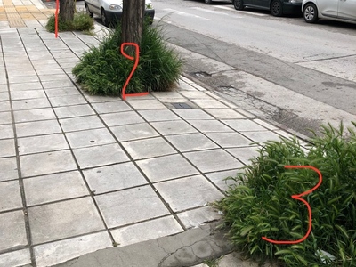 Αναγκαία περιποίηση δέντρων