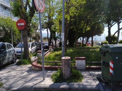 Κορμός