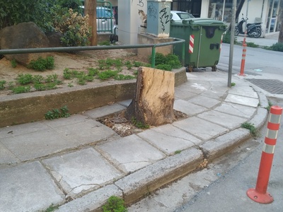 Εκρίζωση κορμού
