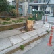 Εκρίζωση κορμού