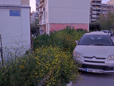 ΚΟΥΡΕΜΑ ΧΟΡΤΩΝ