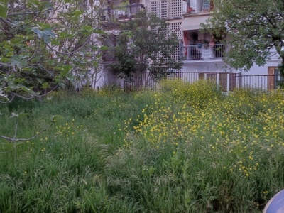 ΚΟΥΡΕΜΑ ΧΟΡΤΩΝ