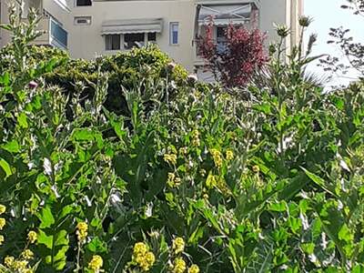 ΚΟΨΙΜΟ ΧΟΡΤΩΝ