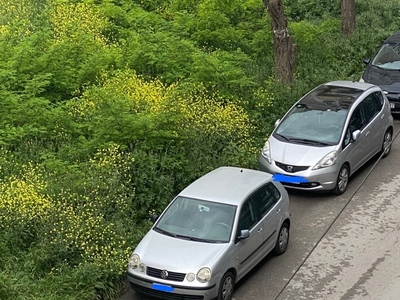 Καθαρισμός ψηλά χόρτα και πυκνη βλάστιση