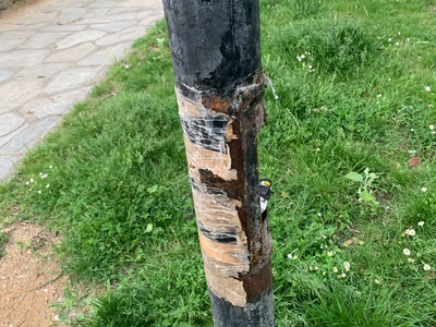 Κολώνες φωτισμού