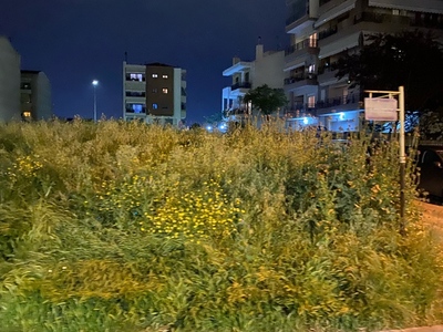 Καθαρισμα θαμνων και χορτων