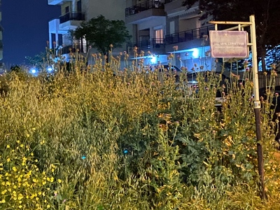 Καθαρισμα θαμνων και χορτων