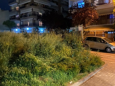 Καθαρισμα θαμνων και χορτων